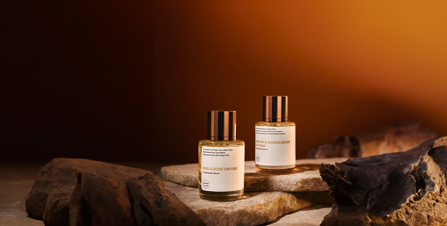 Genderless Nighttime Collection banner