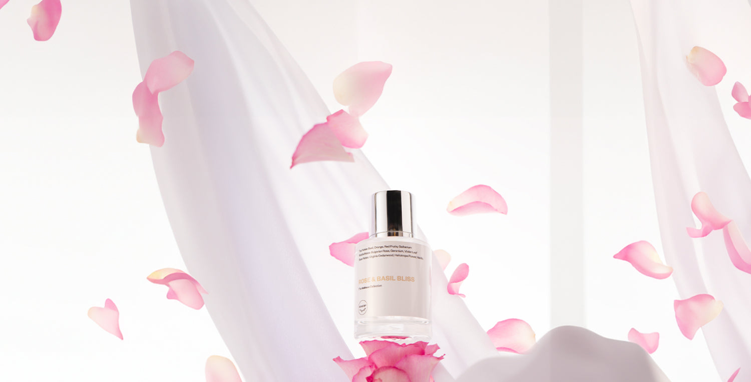 Wellness Collection banner