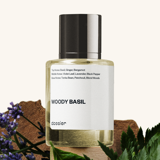 Picture of Woody Basil